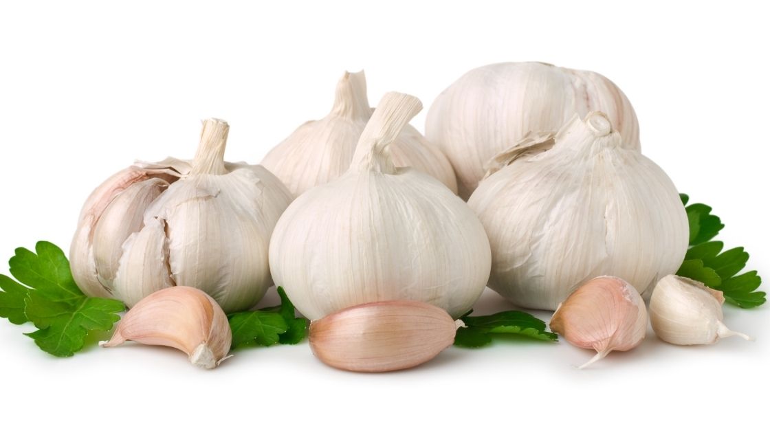  Garlic and Garlic based Products