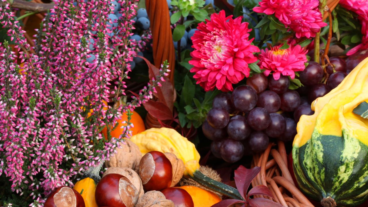 Cultivation, Utilization and Processing Of Fruits, Vegetables, Flowers, Coconut, Tea, Bamboo and Wood Derivatives