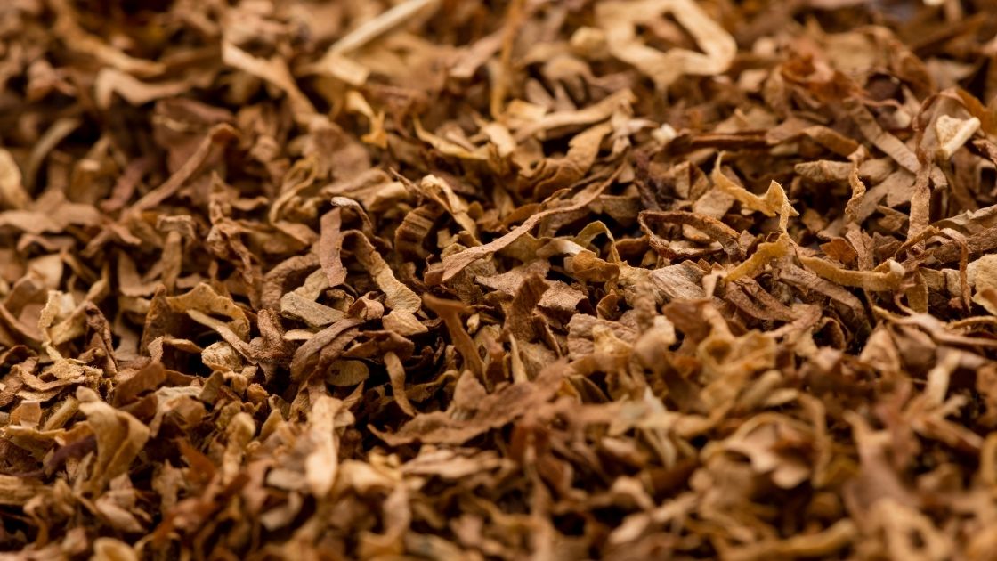  Alternate technologies available for toxin free Pan Masala, Tobacco less Gutkha and  Zarda without tobacco Projects 