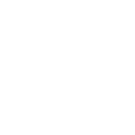 Market Survey