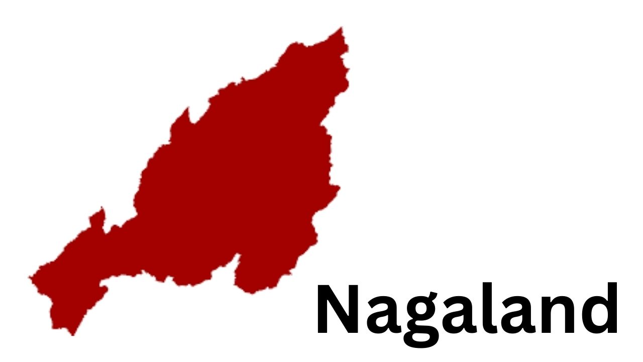  Best Business Opportunities in Nagaland - Identification and Selection of right Project, Thrust areas for Investment, Industry Startup and Entrepreneurship Projects 