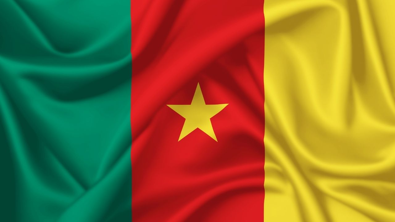  Best Business Opportunities in Cameroon, Africa - Identification and Selection of right Project, Thrust areas for Investment, Industry Startup and Entrepreneurship Projects