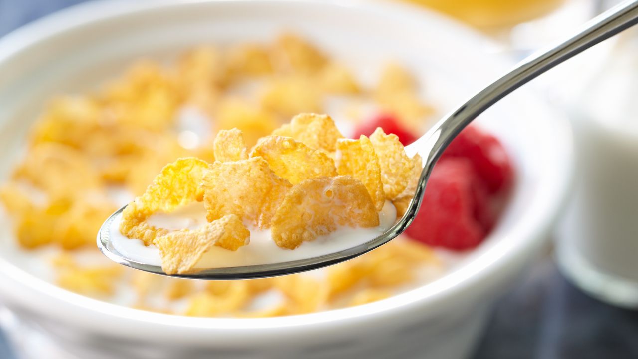 Cereal Food, Cereals and Cereal Products Processing Industry