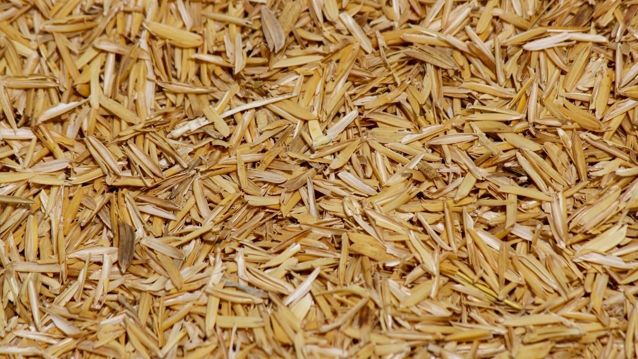  Rice Husk, Rice Hull, Rice Husk Ash (Agricultural Waste) based Projects, (Precipitated Silica, Activated Carbon, Cement, Electricity, Ethanol, Hardboard, Oxalic Acid, Paper, Particle Board, Rice Husk Briquettes, Rice Husk Pellet, Silicon, Sodium Silicate)