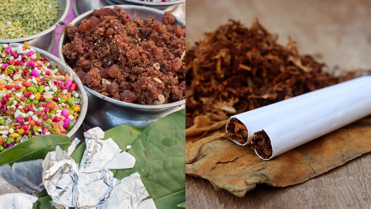  Tobacco, Pan Masala, Khaini, Gutkha, Supari, Zarda, Mouth Freshener, Kimam, cigarettes,  zafrani Patti, Smokeless Chewing Tobacco, Zarda Tobacco, Flavoured Chewing Tobacco Projects