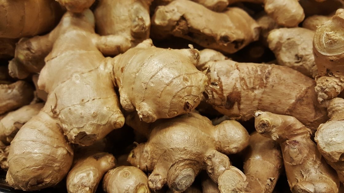  Ginger Cultivation, Ginger Processing and Ginger value added Products and Projects