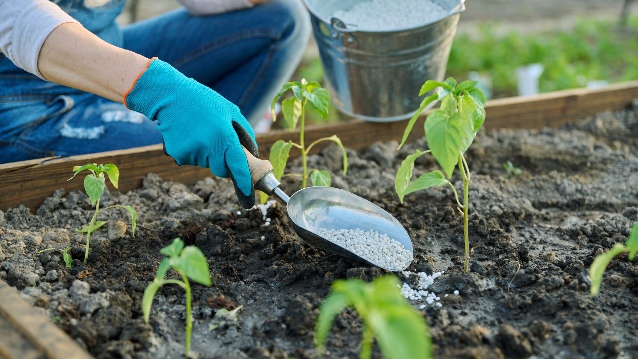 Fertilizers Manufacturing, Ammonium Sulfate, Diammonium Phosphate (DAP), Urea - Ammonium Nitrate, Neem Coated Urea, N.P.K. Complex Fertilizers, Single Superphosphate (SSP), Triple Superphosphate, Zinc Sulfate Monohydrate, Magnesium Sulfate, Zinc Chloride