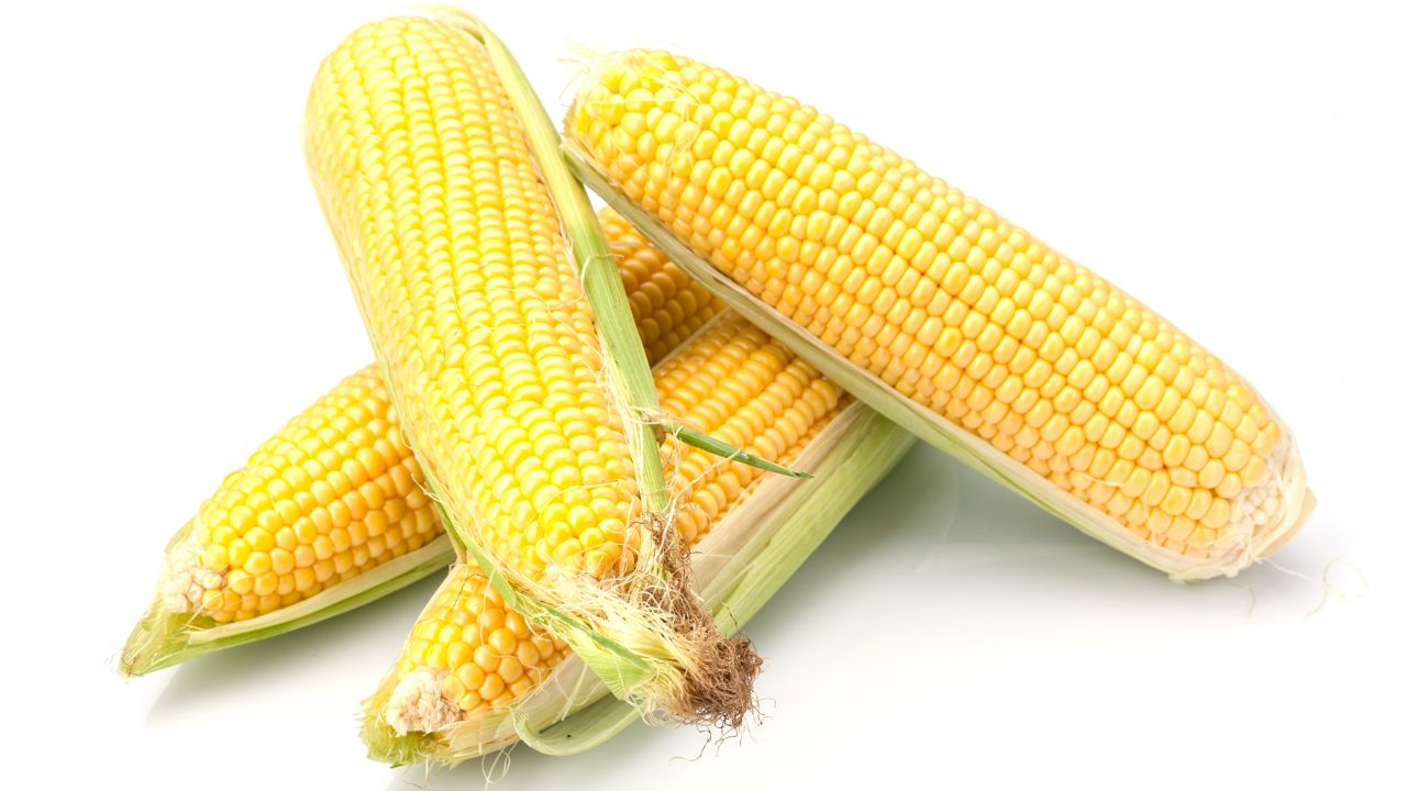  Maize, Corn and its By Products, value added Products, Derivatives, Maize Processing Industry, Corn Starch, Dextrose, Liquid Glucose, Sorbitol, Oil, Gluten, Germ Oil, Wet Milling, Maize Starch Plant & related Products, High-Fructose Corn Syrup (HFCS) 