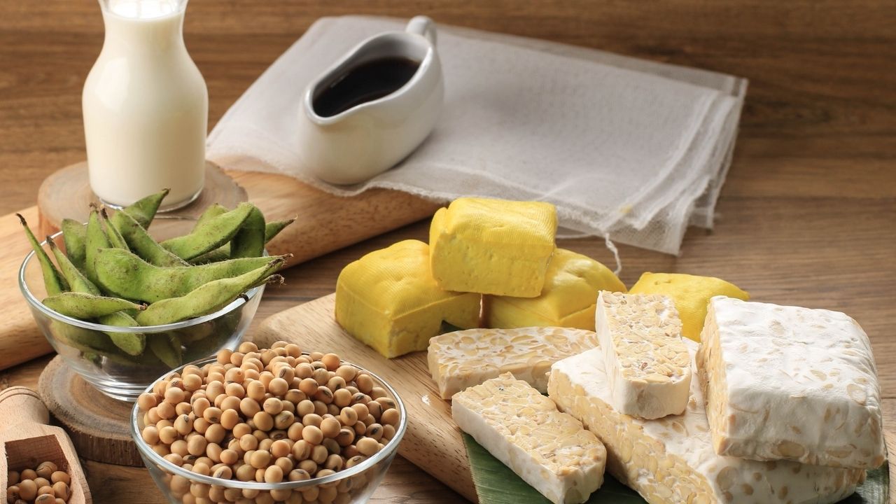  Soya and Soy based Food Products, Soy Sauce, Soy Yogurt, Soybean Flour, Soybean Oil, Soy Milk,  Soya Extract, Soy Protein, Soya Nuggets, Soya Paneer, Tofu