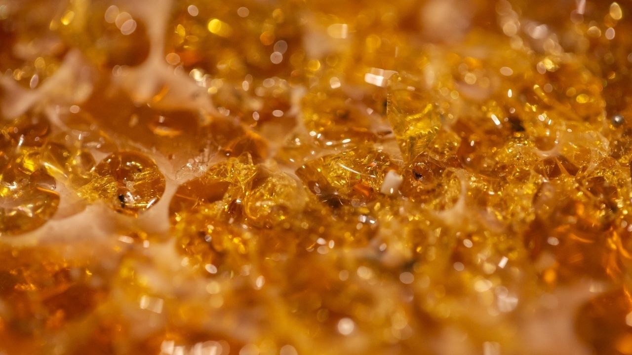 Rosin Processing, Rosin Derivatives, Oleoresin and Pine Chemicals, Terpene Derivatives, Resin & Dimer Acids, Tall Oil Rosin Processing Technology