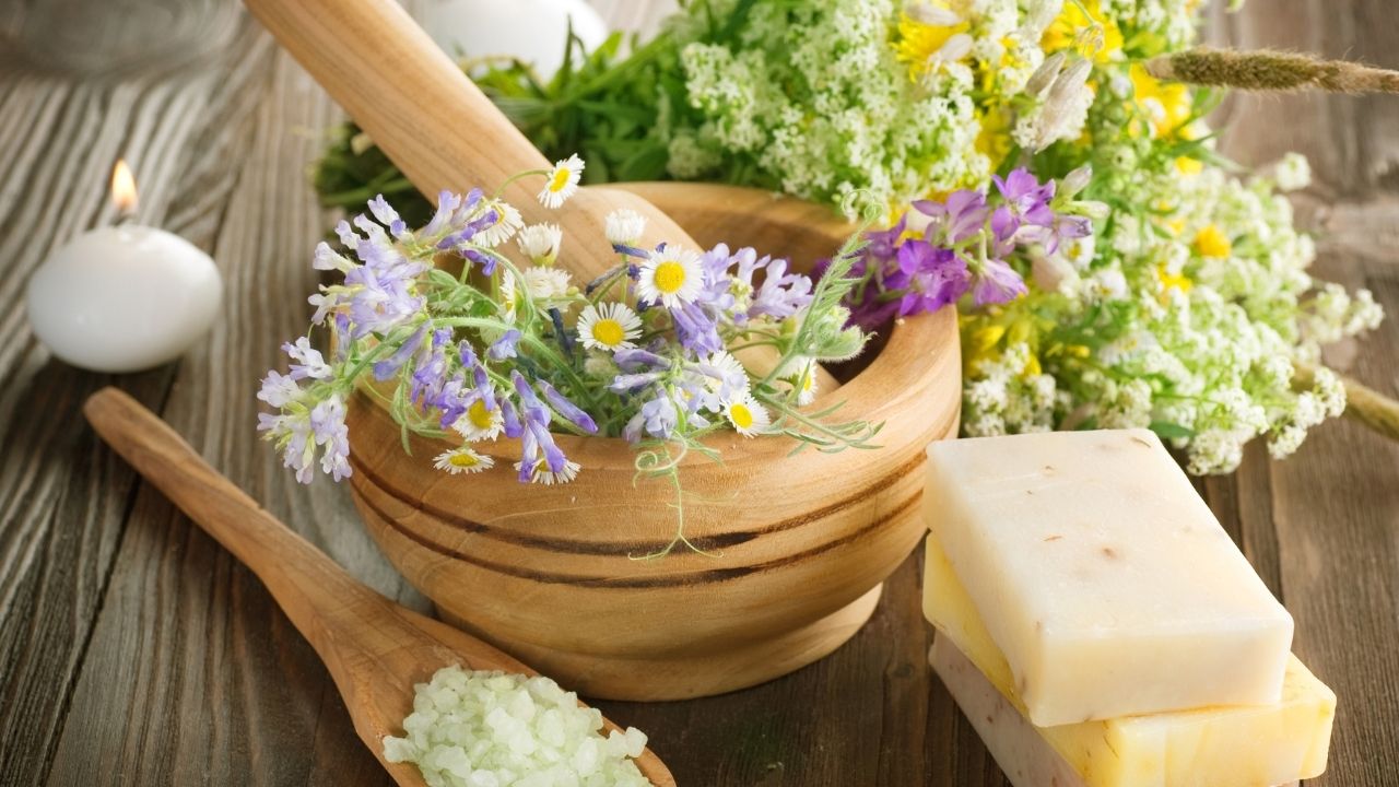 Herbal Products, Aromatic Plant Cultivation, Processing, Herb, Medicinal Plants, Herbs Cultivation, Processing, Herb, Herbs Extracts, Aloe Vera Cultivation, Cultivation, Research Findings, Products, Formulations, Extraction & Processing, Processing, Herbs