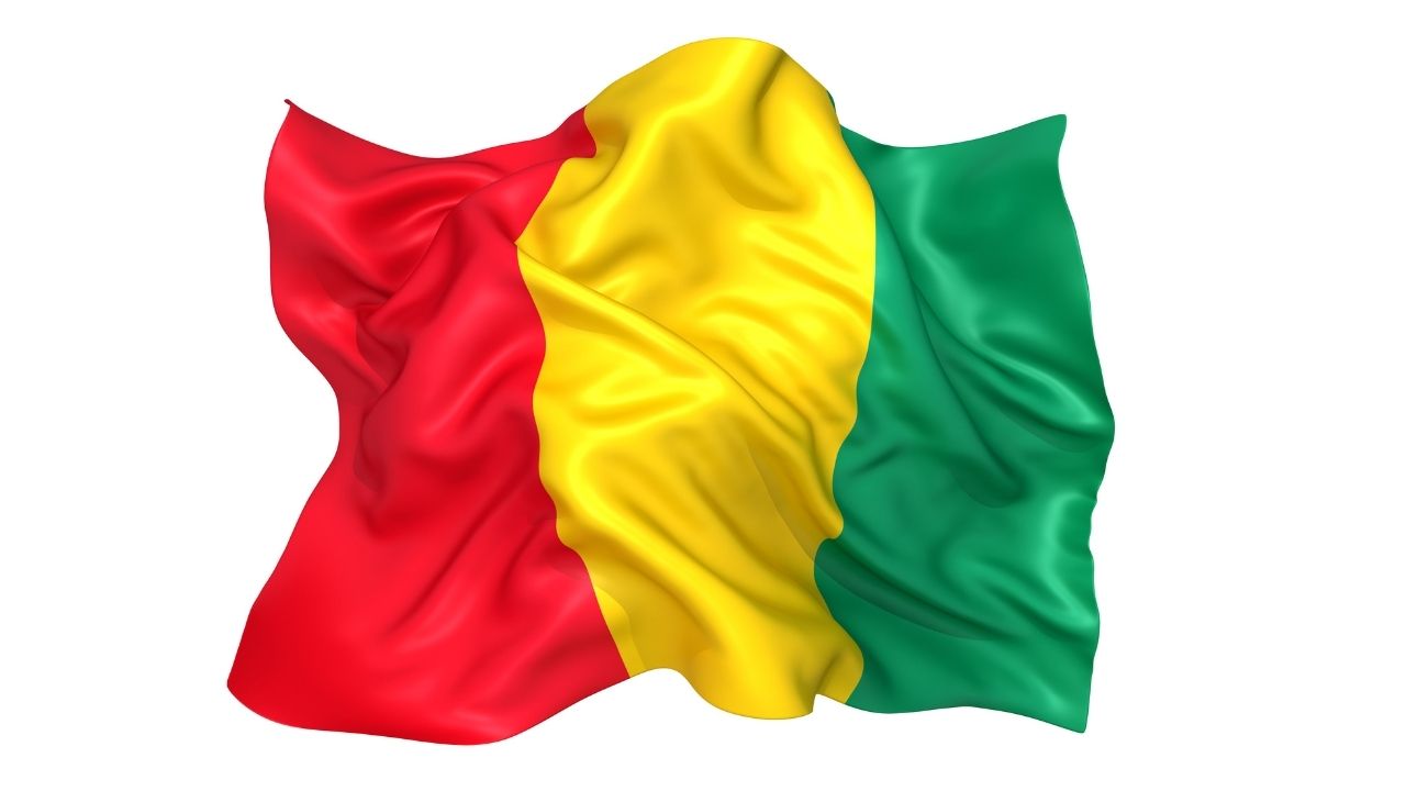  Best Business Opportunities in Guinea, Africa- Identification and Selection of right Project, Thrust areas for Investment, Industry Startup and Entrepreneurship