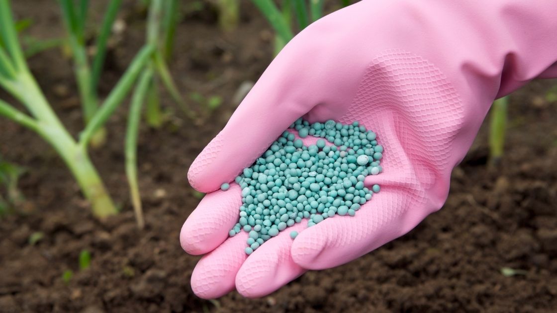 Fertilizers, Fertilisers, Inorganic Fertilizers (Mineral Fertilizer), Macronutrients and Micronutrients, NPK, SSP, Single Super Phosphate, Urea, Nitrogen Fertilizer,Nitrogenous Fertilizer, Diammonium Phosphate Projects