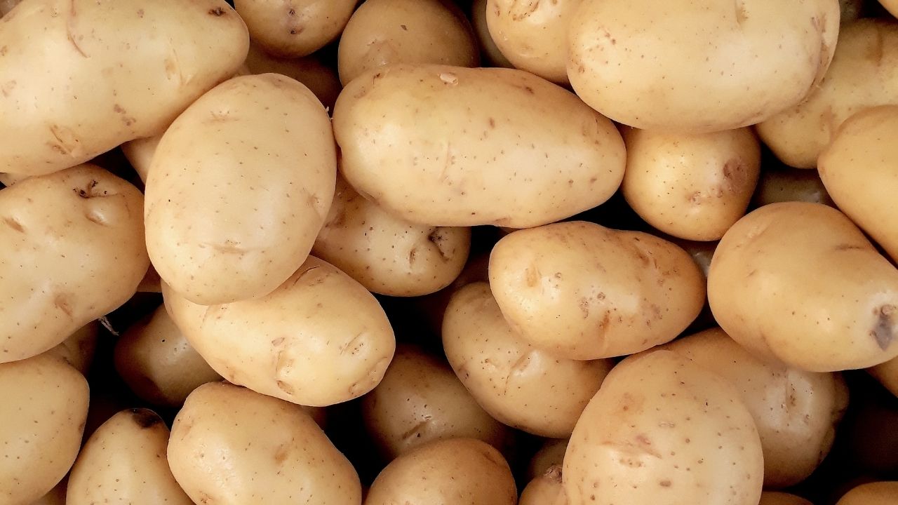  Potato Processing, Potato Based Products, Potato Chips & Wafers, Potato Granules, Potato Wine, Alcohol, Vodka, Sticks, French Fries, Potato Specialties, Dehydrated, Frozen Potato Products, Potato Starch, Potato Powder, Flakes & Pellets, Liquid Glucose