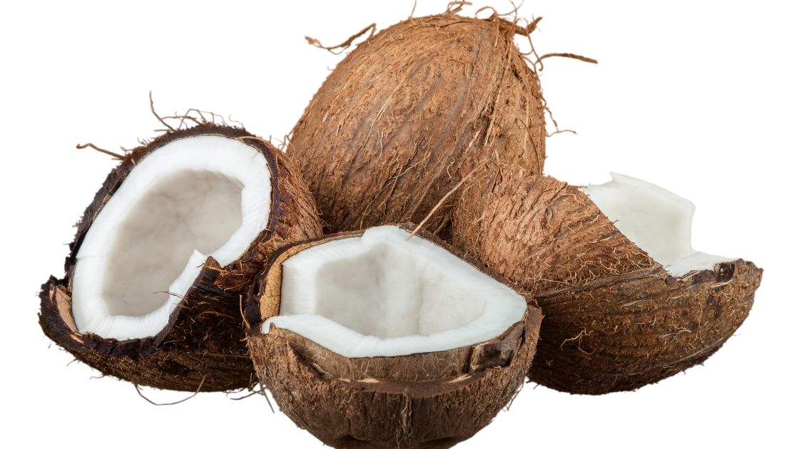  Coconut and Coconut value added Products, Coconut Oil, Desiccated Coconut (DC), Coconut Cream, Coconut Milk, Spray Dried Coconut Milk Powder, Coconut Shell Products, Shell Charcoal, Shell Powder, Virgin Coconut Oil (VCO), Coconut processing unit